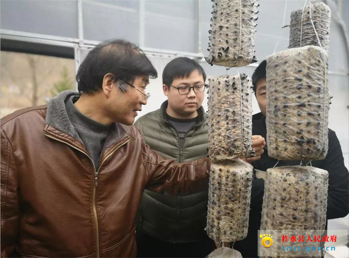 微信图片_20190228155114.jpg